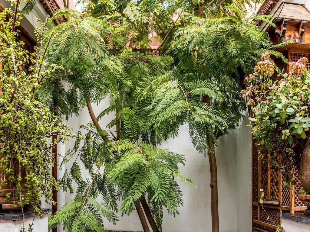 Riad Les Trois Cours Marrakesh Exterior photo
